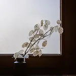 P24 Appartement *
